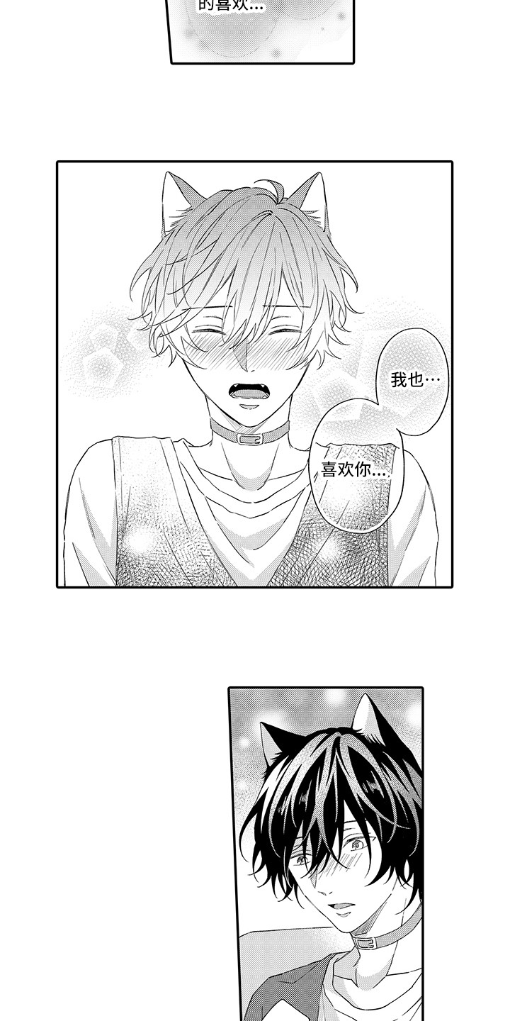 猫咪之家漫画,第10章：表白5图