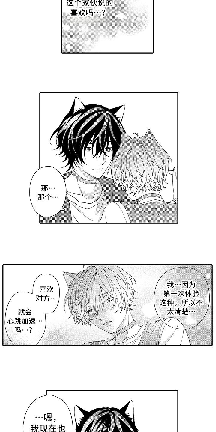 猫咪之家漫画,第10章：表白3图