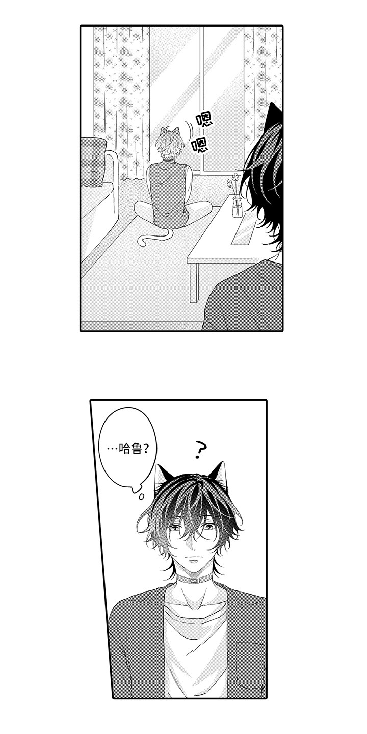 猫咪之家漫画,第22章：新家5图