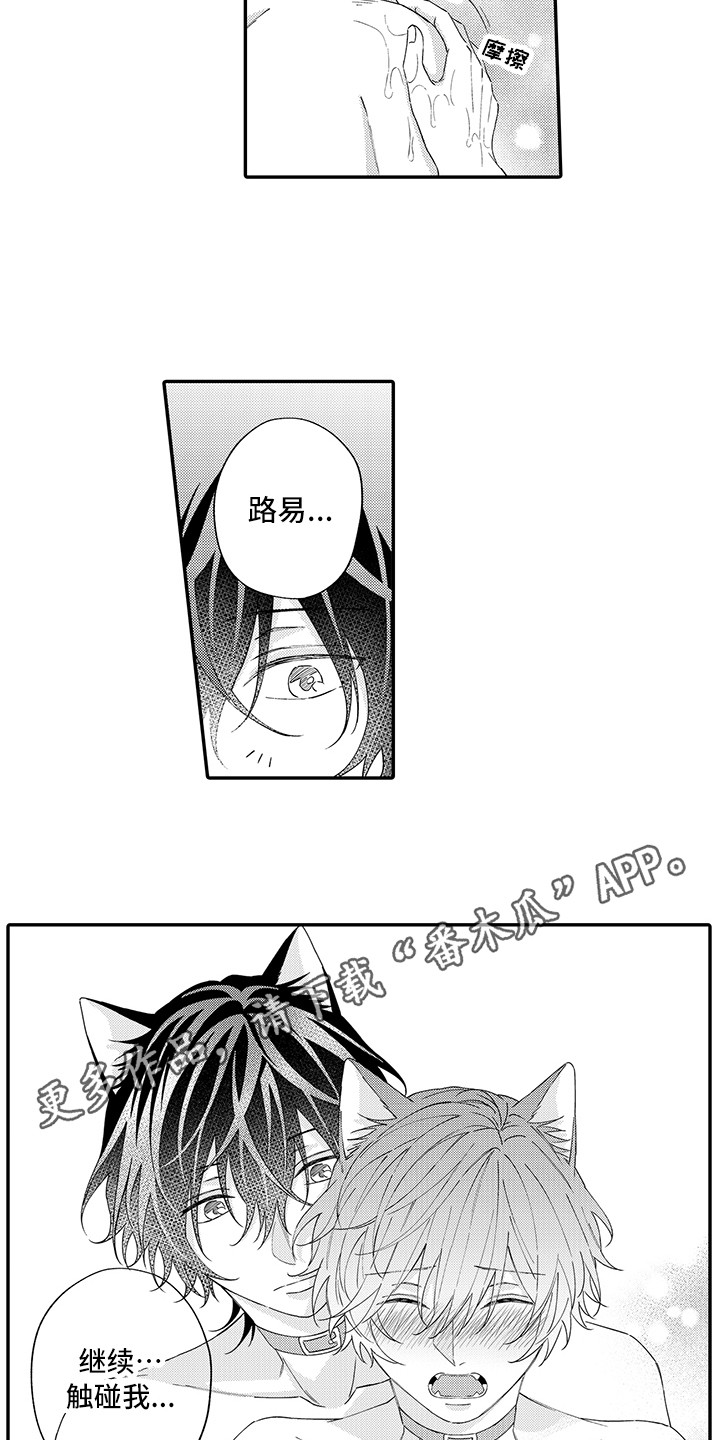猫咪之家漫画,第13章：洗一洗2图
