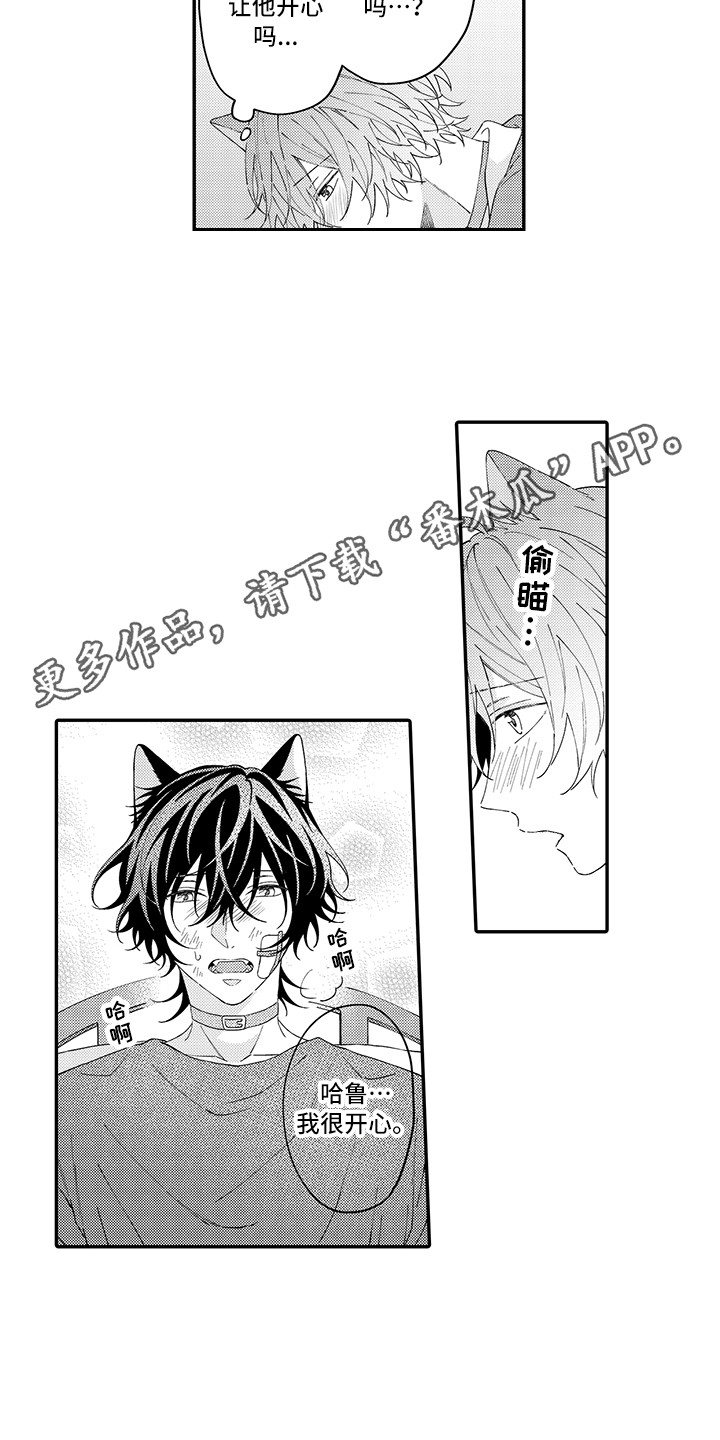 猫咪之家漫画,第21章：下决心2图
