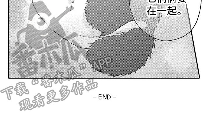 猫咪之家漫画,第24章：在一起（完结）3图