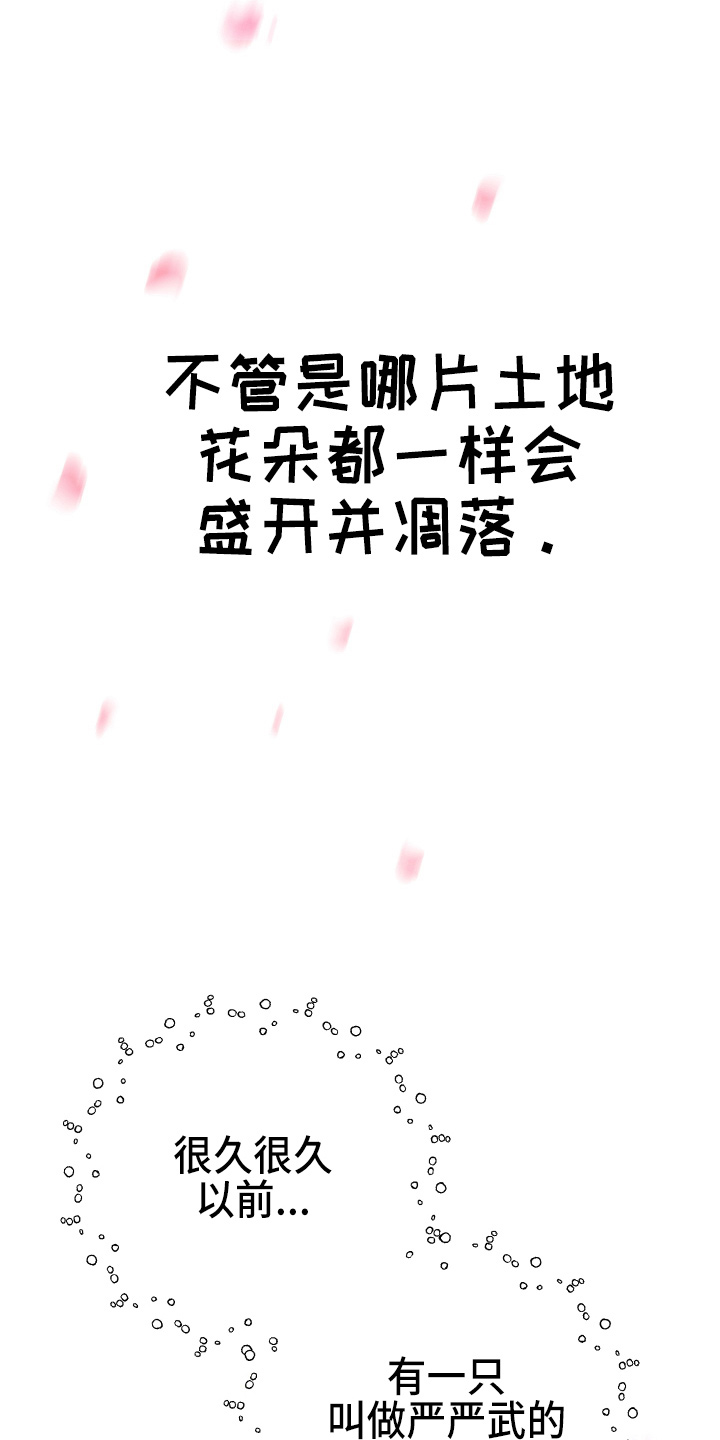 兔兔与灰熊漫画,第21章：【完结】我喜欢你2图