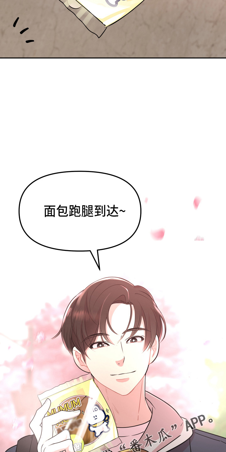 兔兔与灰熊漫画,第21章：【完结】我喜欢你5图