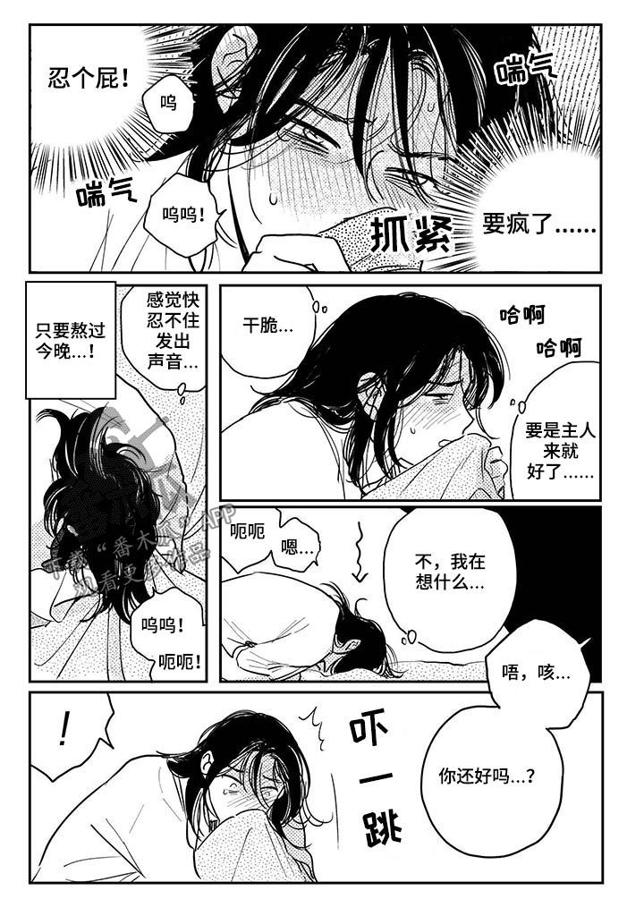 第71章：【番外】效果非凡2