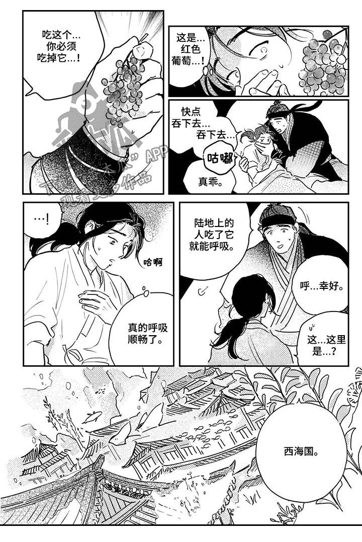 第69章：【番外】西海国4