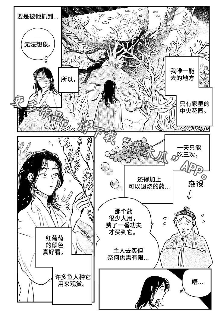 第70章：【番外】解毒0