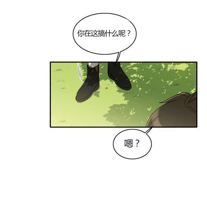 同步穿越漫画,第28章：制定计划4图