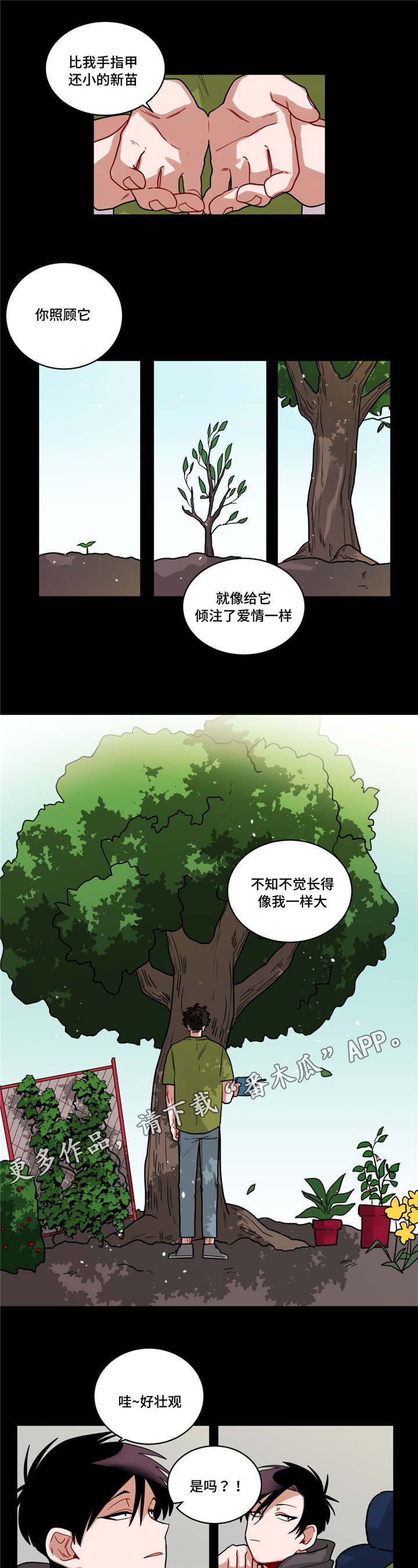 无声体验漫画在线完整免费观看漫画,第60章：好漂亮5图