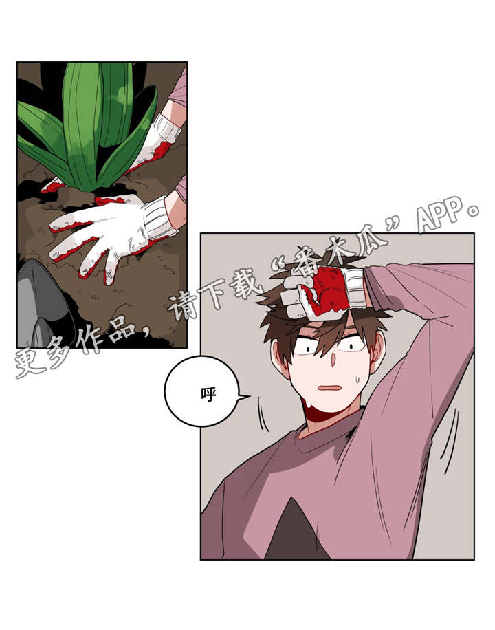 无声胜有声漫画,第17章：逃跑5图