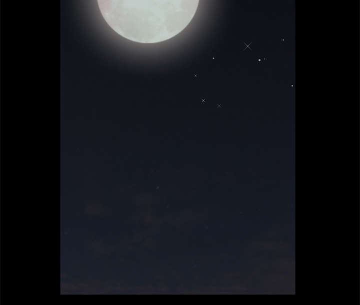 沉睡的疯狗漫画,第116章：宴席5图