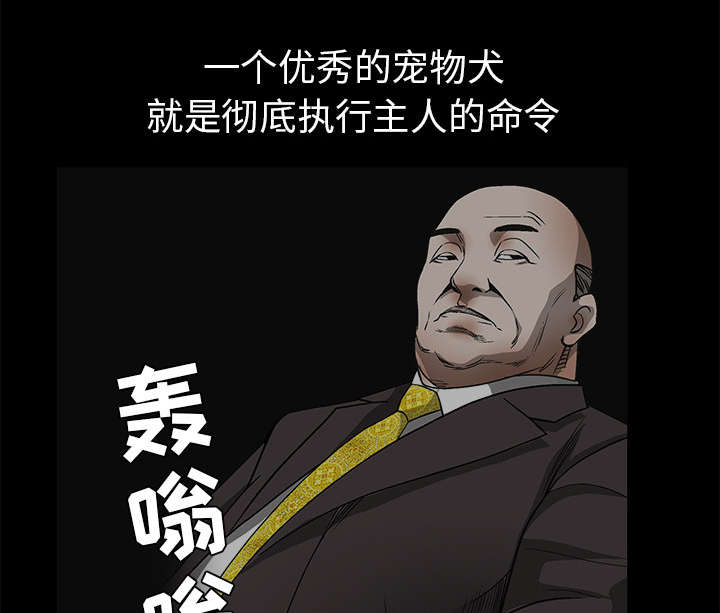 沉睡的疯狗漫画,第89章：价值120亿3图