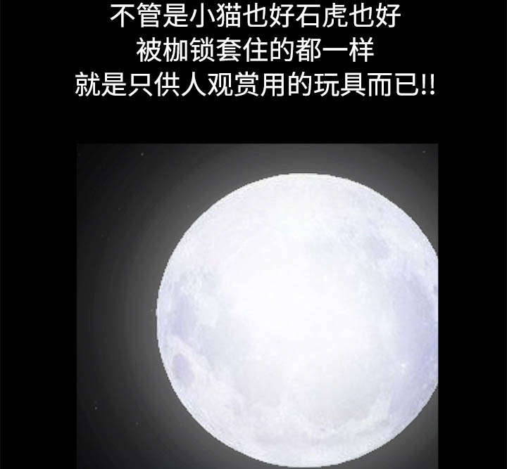 沉睡的疯狗漫画,第97章：圈套5图