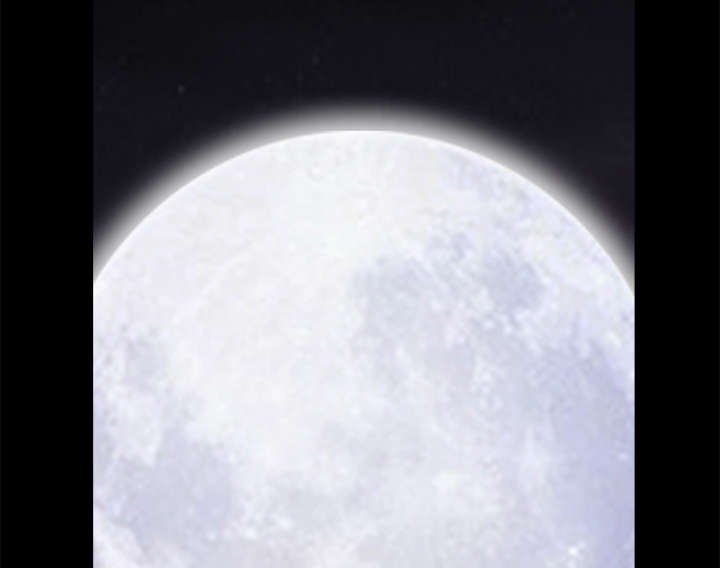 沉睡的疯狗漫画,第56章：告知会长4图