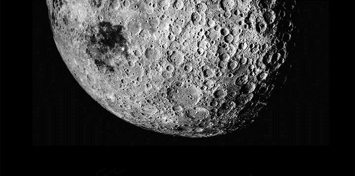 沉睡的疯狗漫画,第28章：我属于那里5图