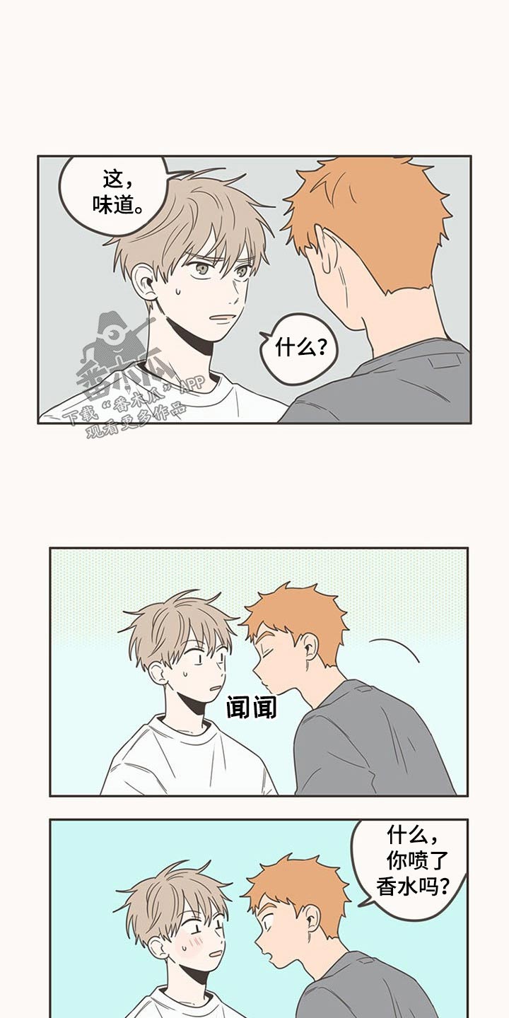 隐秘表达漫画,第95章：生日快乐4图