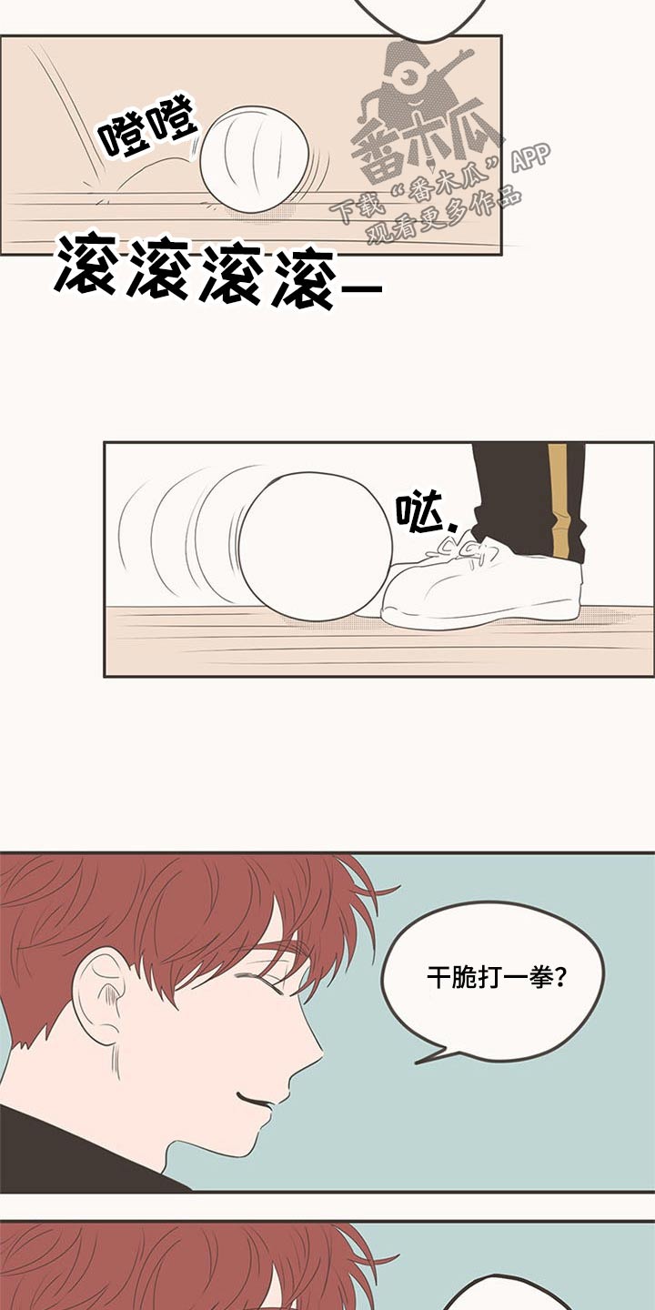 隐秘表达漫画,第103章：排球5图