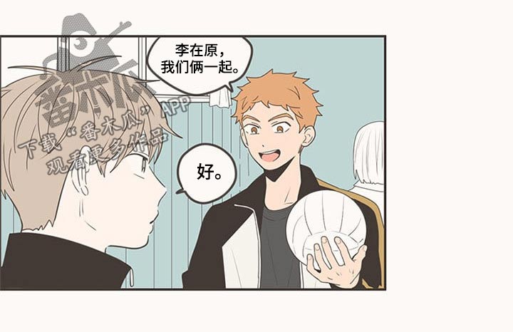 隐秘表达漫画,第103章：排球2图