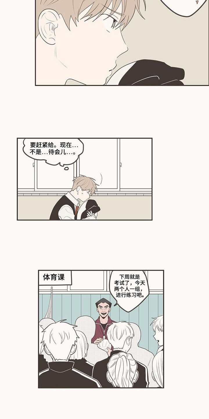 隐秘表达漫画,第103章：排球1图