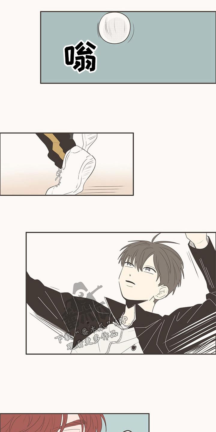 隐秘表达漫画,第103章：排球1图