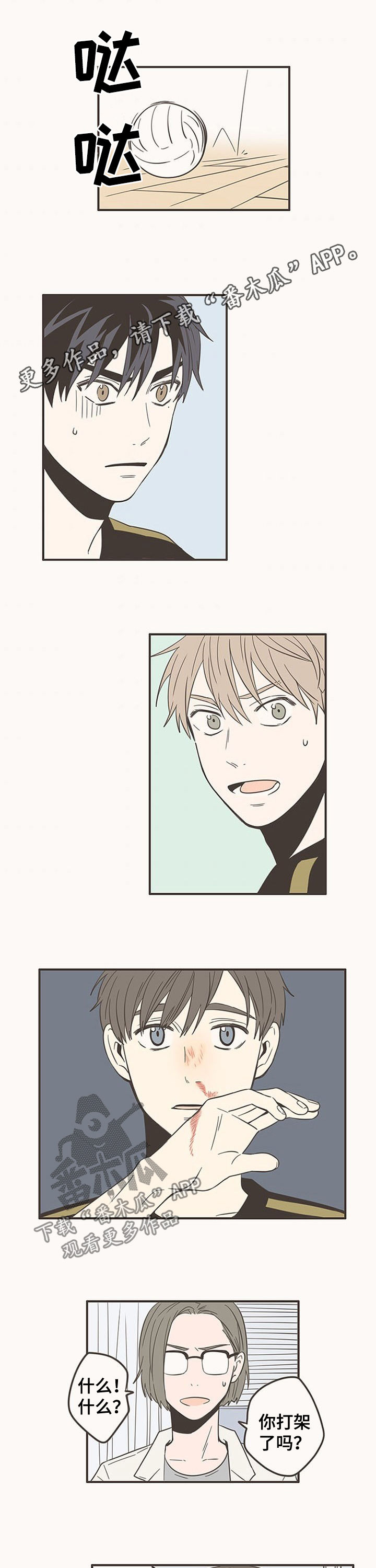 隐秘表达漫画,第65章：道歉1图