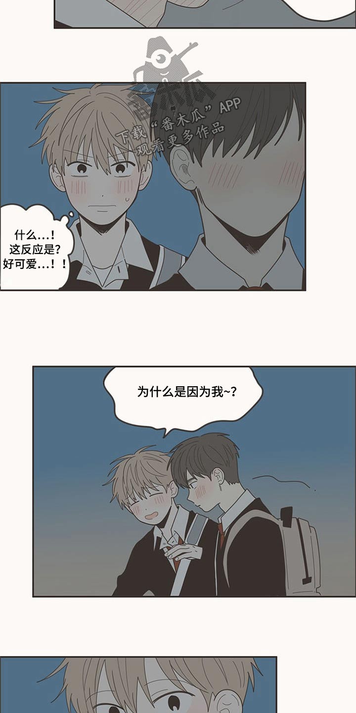 隐秘表达漫画,第107章：喜欢你1图