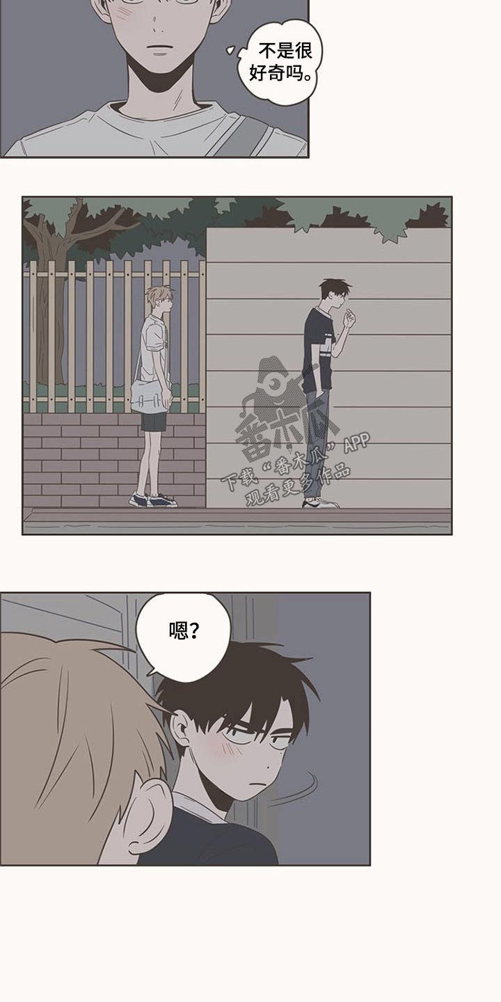 隐秘表达漫画,第88章：告诉我5图