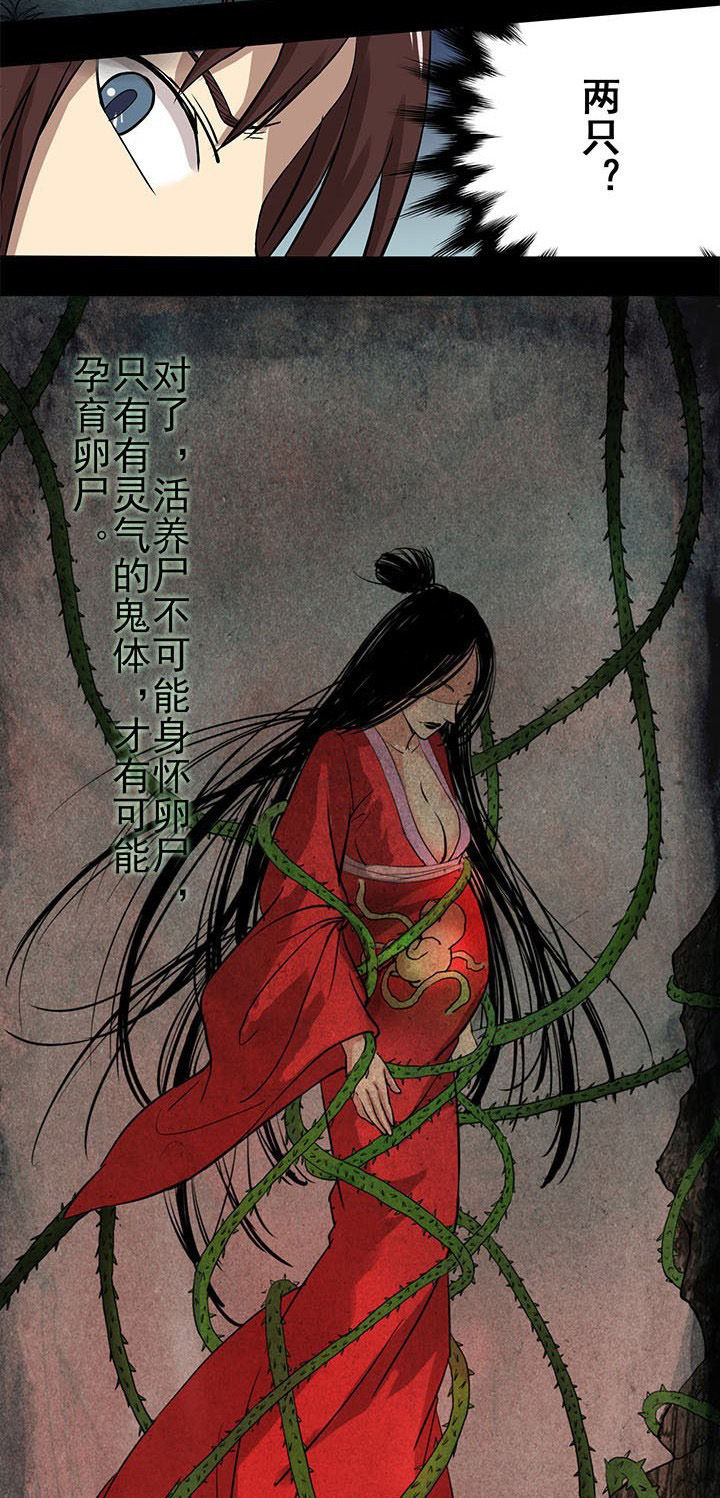 阴阳鬼探漫画,第20章：沈冰失踪1图