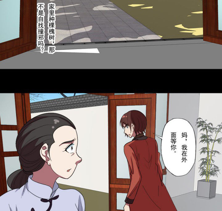 阴阳鬼探漫画,第96章：槐木取阴1图