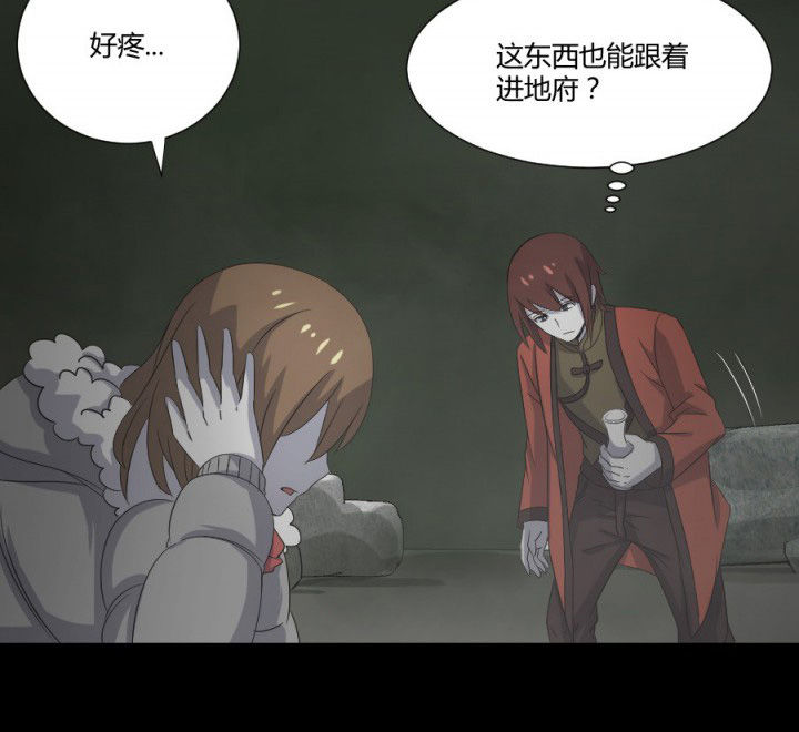 阴阳鬼探小说阅读全文漫画,第115章：误入地府3图