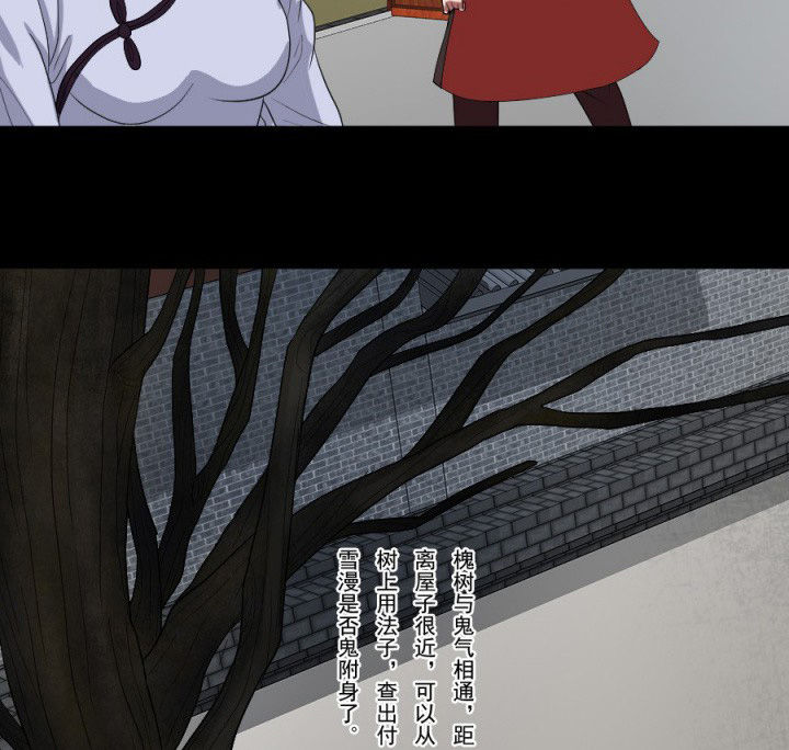阴阳鬼探漫画,第96章：槐木取阴2图