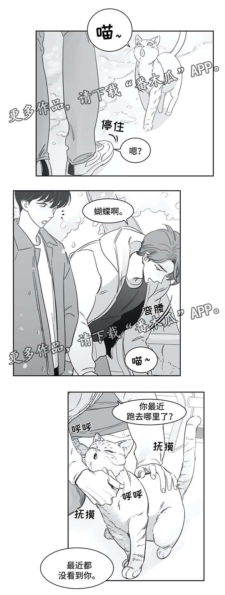 另类的邻居漫画,第37章：同居4图