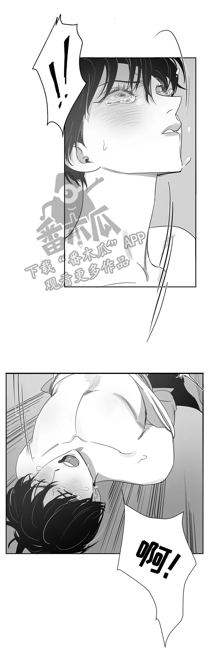 另类的邻居漫画,第55章：真正的目的3图