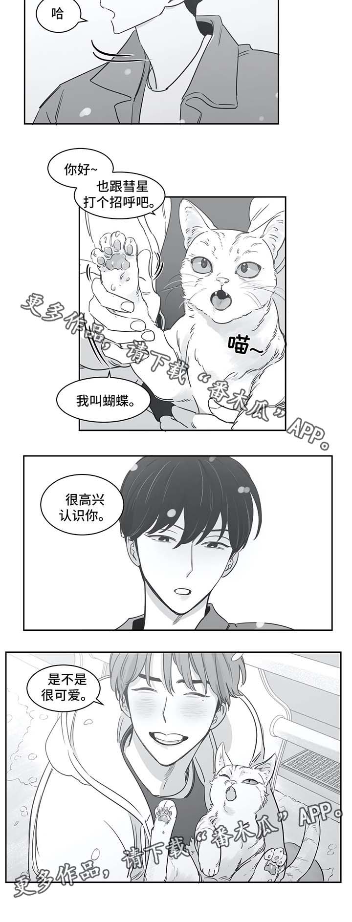 另类的邻居漫画,第37章：同居1图