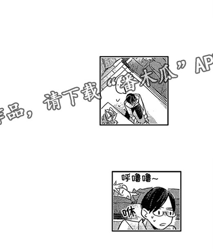 天降小狼狗漫画,第19章：喜欢的理由5图