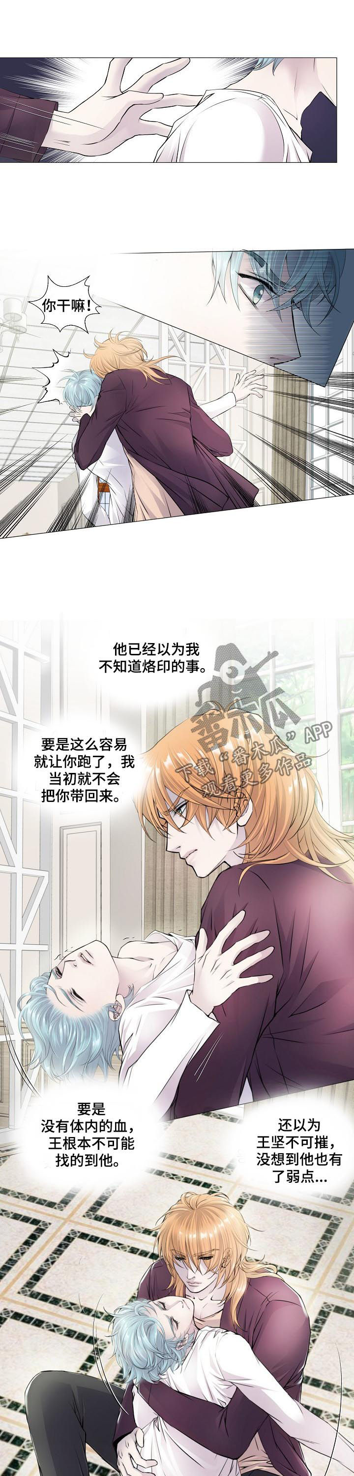 渴望之血漫画,第114章：混血5图