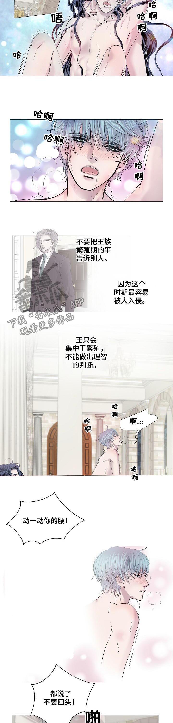 渴望之血漫画,第160章：不要回头5图