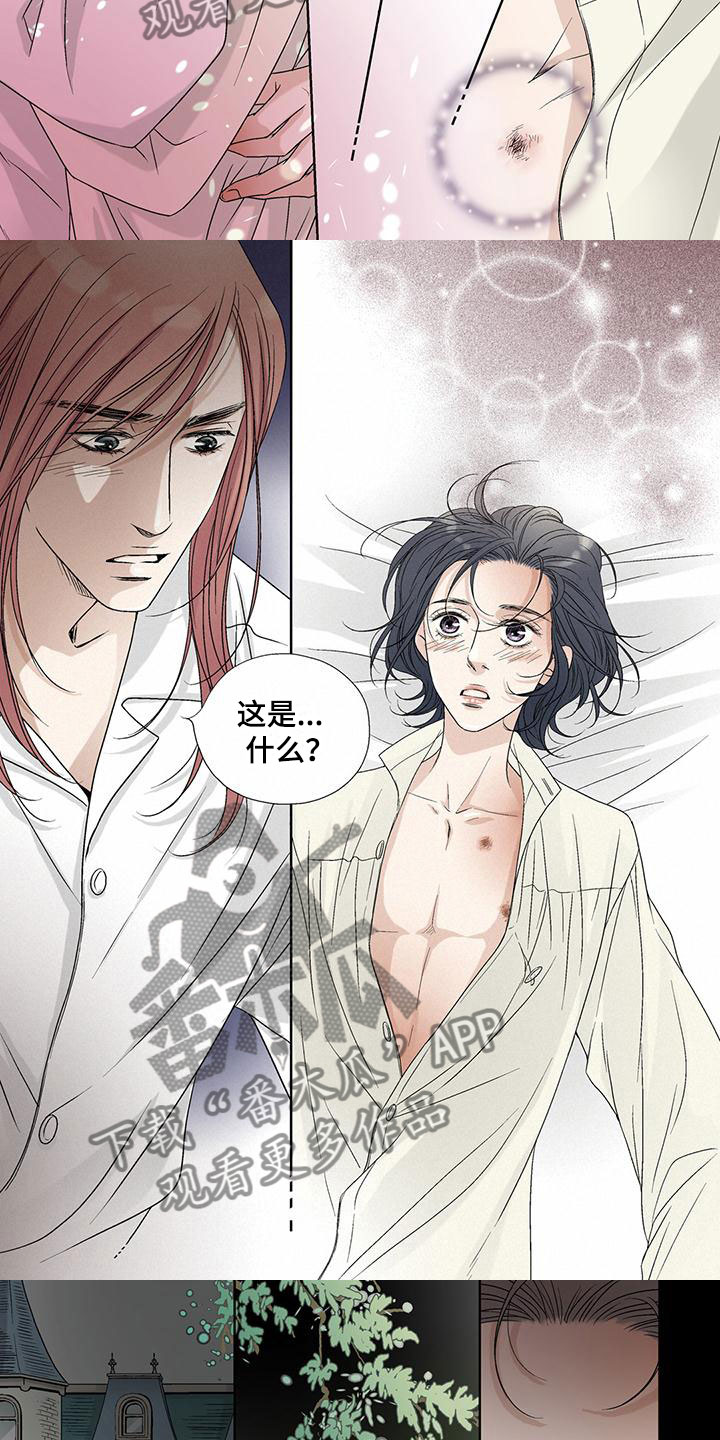 艾伦家布置风格漫画,第24章：这是什么3图