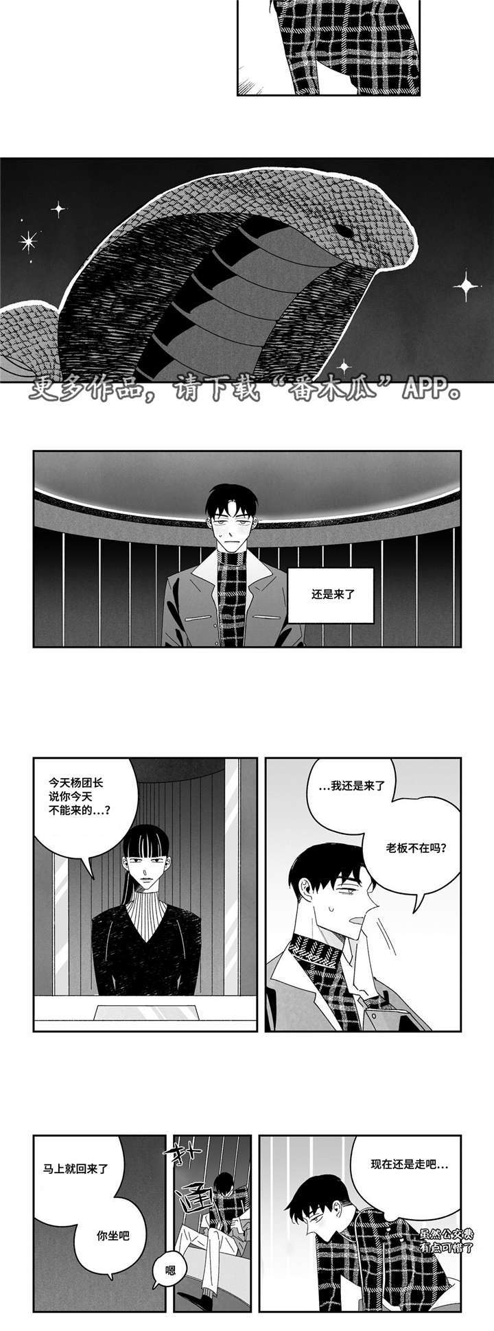 败家娘们2580漫画,第8章：最贵的3图