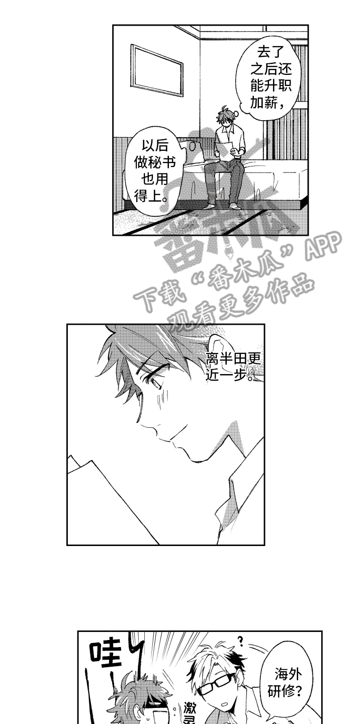 熊猫生活漫画,第22章：计划5图