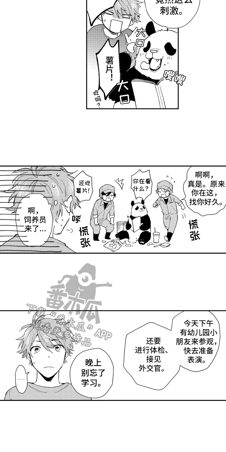 熊猫生活漫画,第18章：重要3图