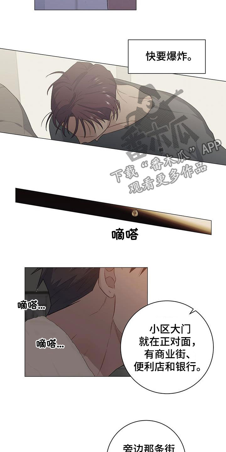 下一盘菜漫画,第29章：没关系4图