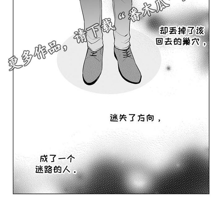 蜜桃多多的做法漫画,第13章：逃离1图