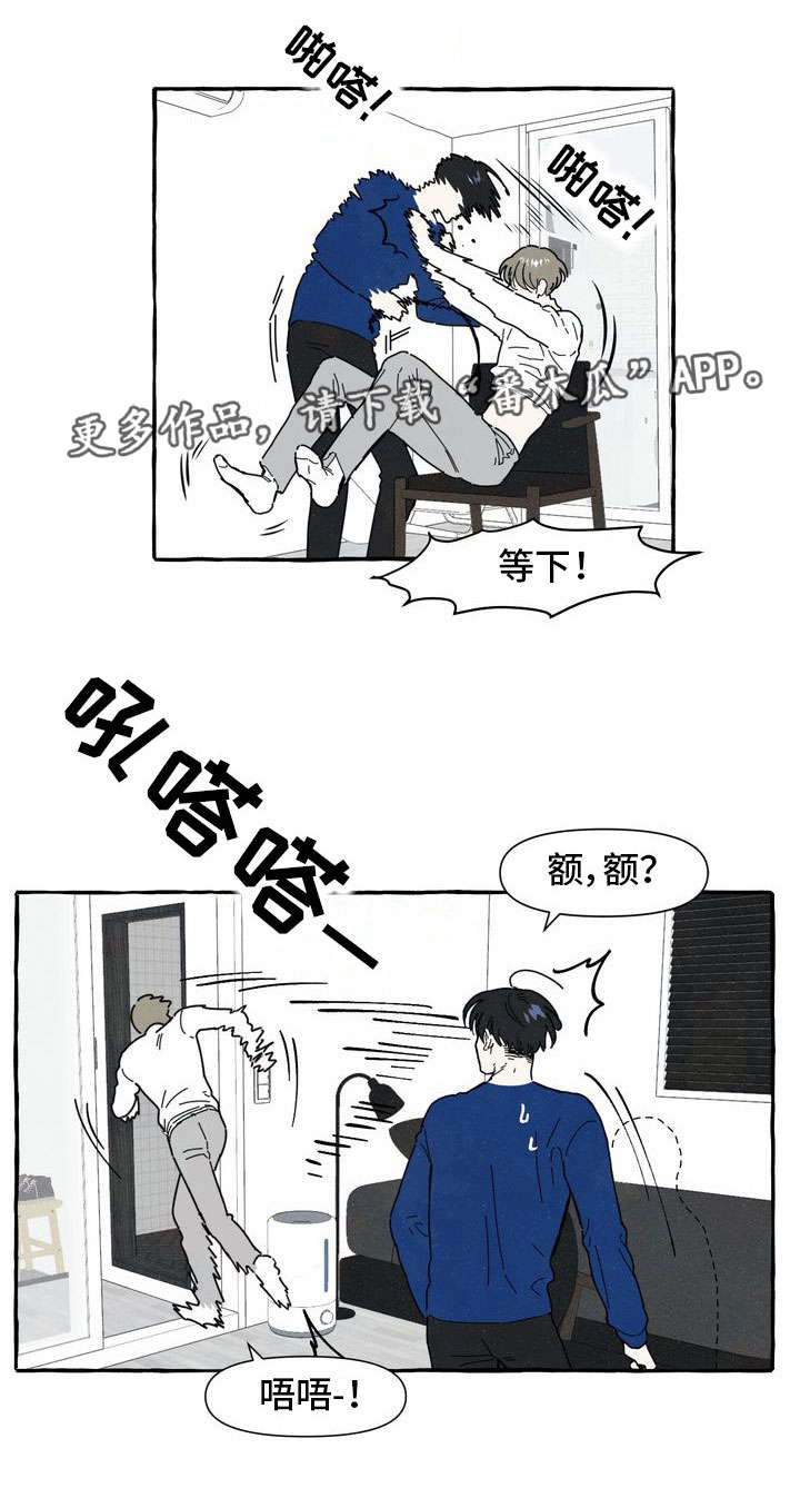 一锤定情漫画,第10章：喜欢1图