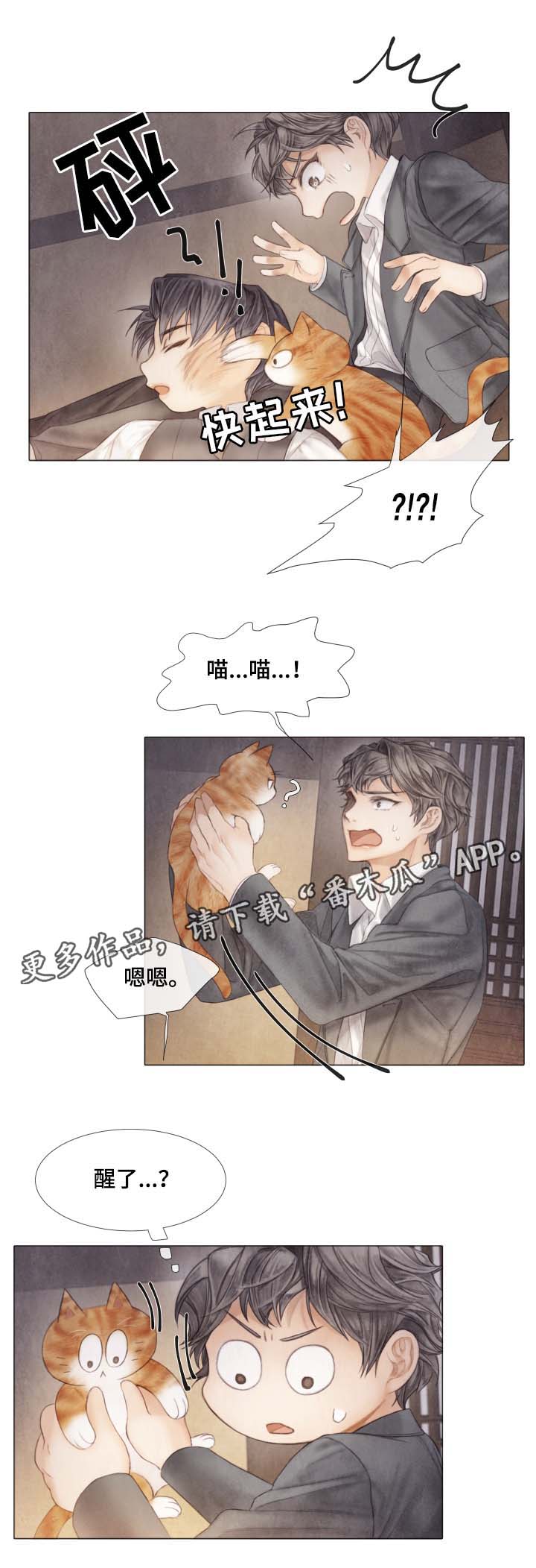 援救策划漫画,第42章：从未许诺给你5图