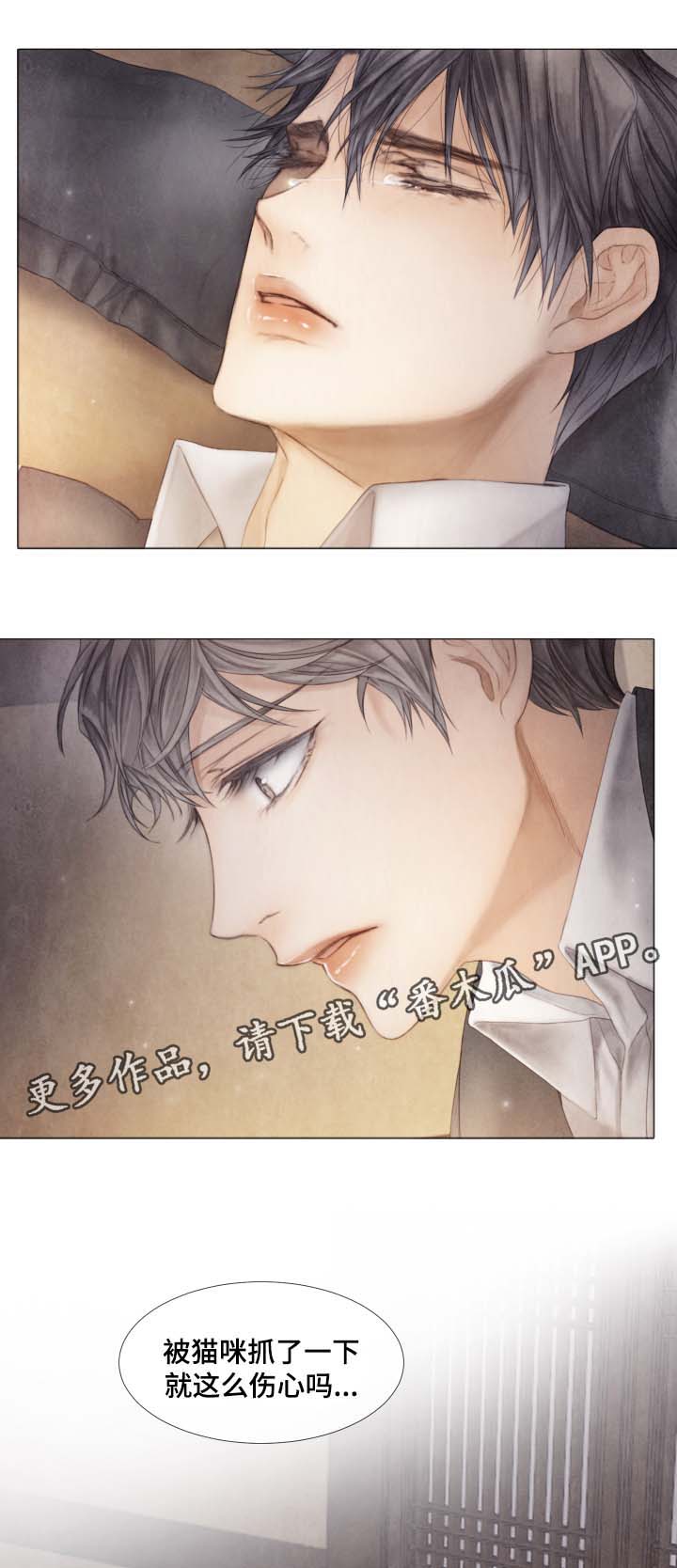 援救策划漫画,第42章：从未许诺给你1图