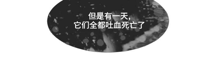 救援组织有哪些漫画,第35章：看望3图