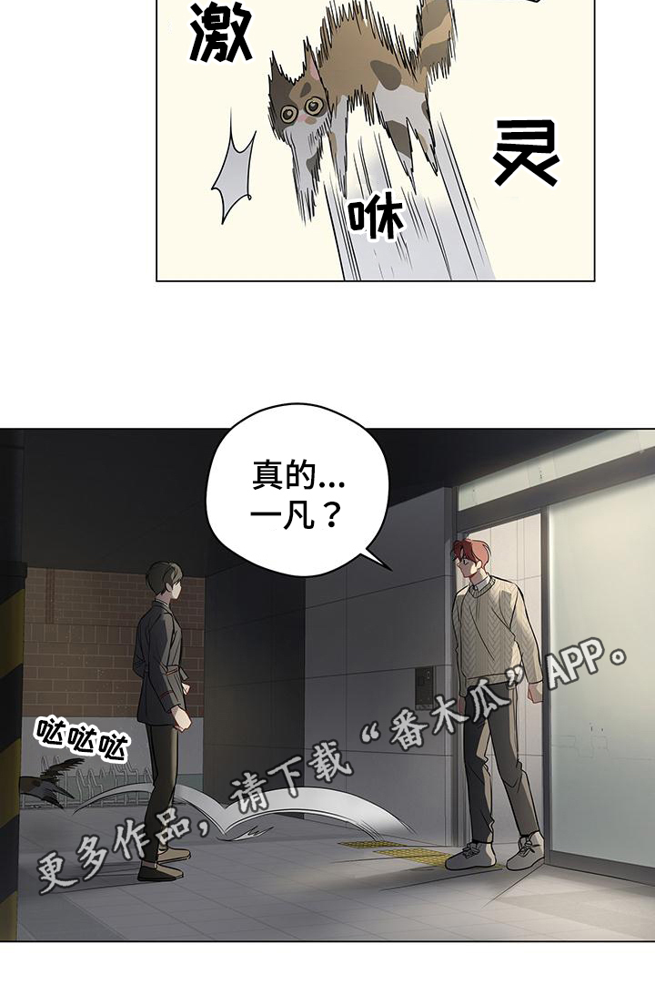 奇怪的梦境漫画,第97章：【第三季】回头2图