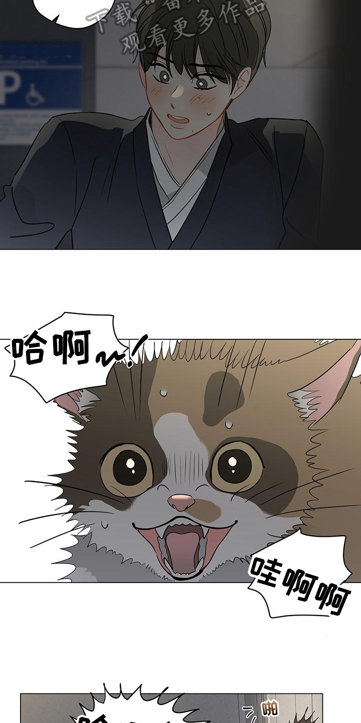 奇怪的梦境漫画,第97章：【第三季】回头5图