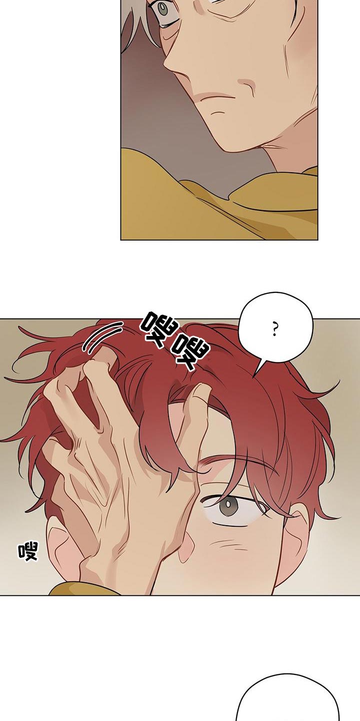 奇怪的梦境漫画,第124章：【第三季】相册3图